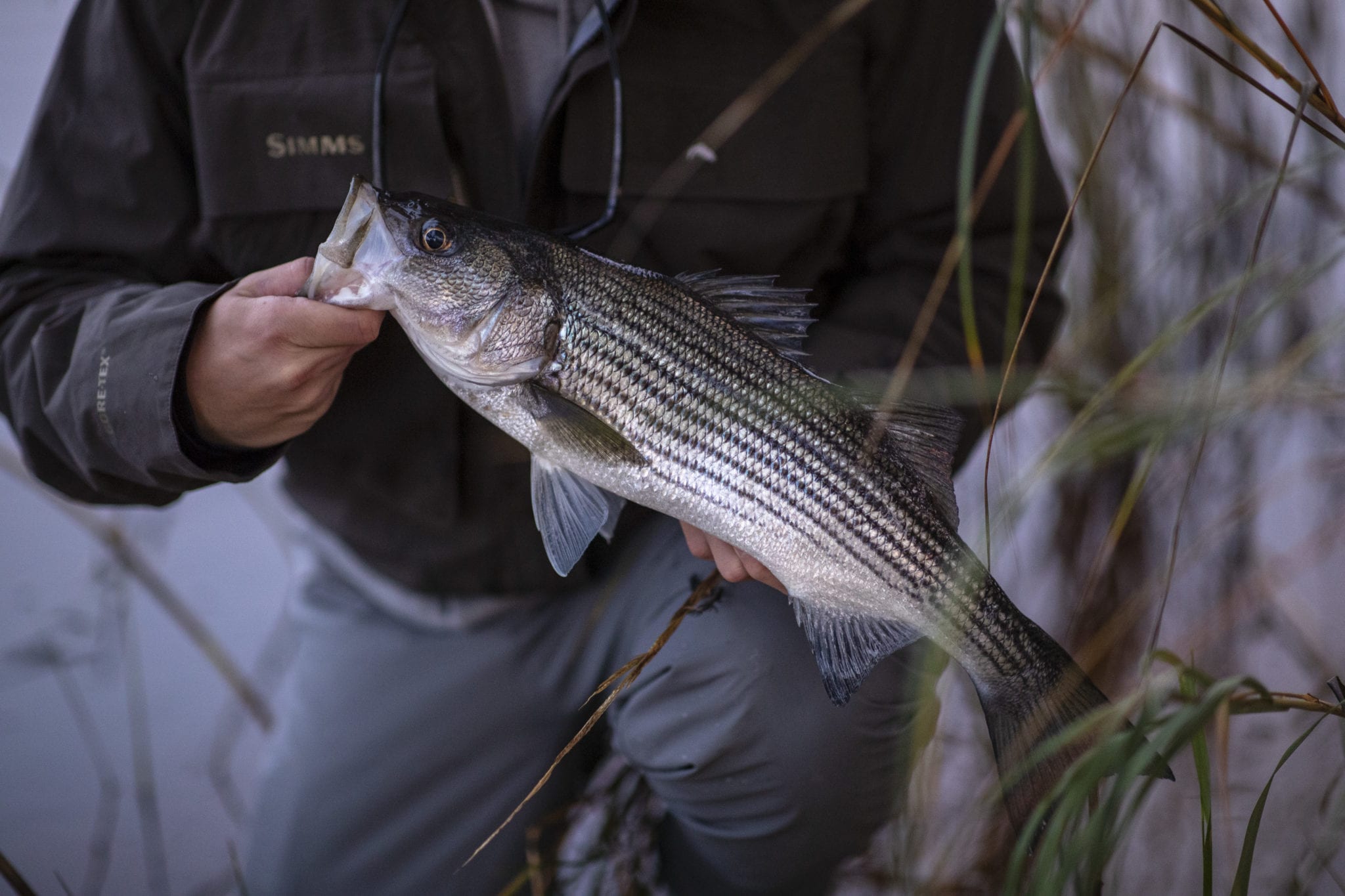 Waders For Kayak Fishing Navarre Kayak Fishing Book Your Adventure!