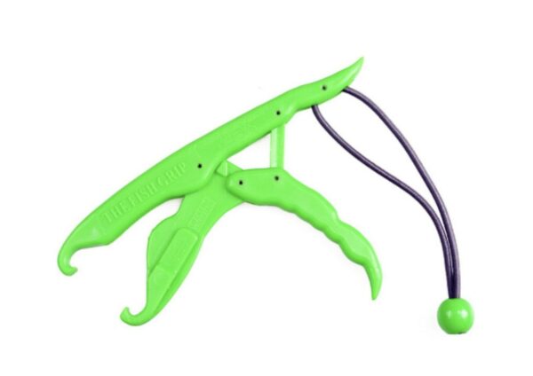 The Fish Grip - Green